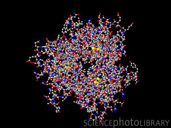 TNF是肿瘤坏死因子-α（Tumor Necrosis Factor）的简写，是一种能够直接杀伤肿瘤细胞而对正常细胞无明显毒性的细胞因子，