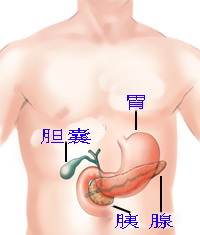 PNAS：用特异性基因突变诊断胰腺囊肿